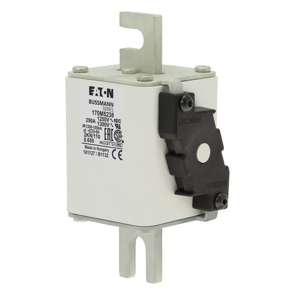 Fuse-link, high speed, 250 A, AC 1250 V, size 2, 61 x 77 x 138 mm, aR, DIN, IEC, single indicator image 18