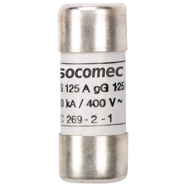 Cylindrical fuse without striker gG type 22x58 500Vac 100A image 2