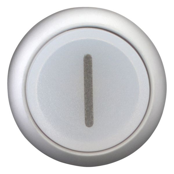 Illuminated pushbutton actuator, RMQ-Titan, Extended, maintained, White, inscribed 1, Bezel: titanium image 3