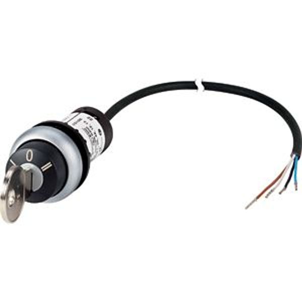 Key-operated actuator, RMQ compact solution, momentary, 2 NC, Cable (black) with non-terminated end, 4 pole, 1 m, 3 positions, MS1, Bezel: titanium image 2