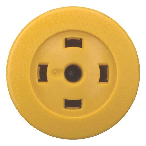 Mushroom actuator, RMQ-Titan, Mushroom, momentary, Mushroom yellow, Without button plate, Bezel: black image 9