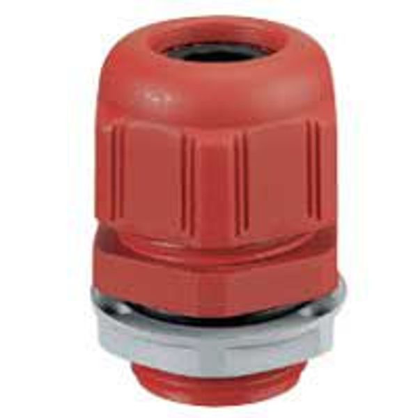 CABLE GLAND IP68 ISO16 RAL3000 image 1