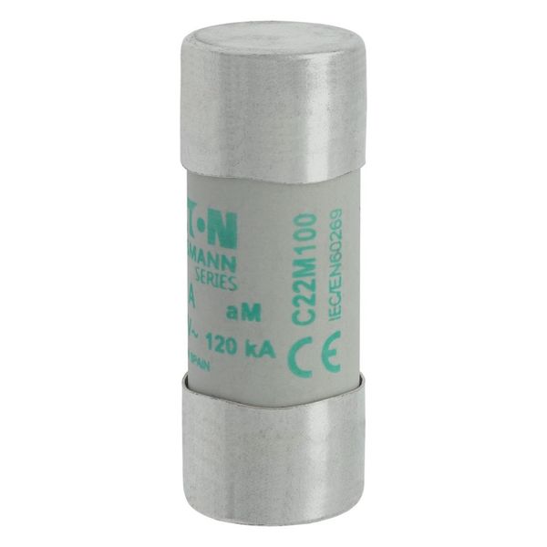 Fuse-link, LV, 100 A, AC 500 V, 22 x 58 mm, aM, IEC image 18