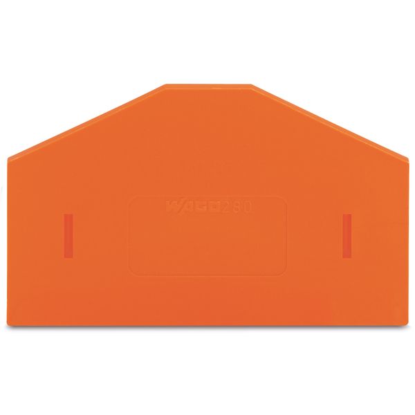Separator plate 2.5 mm thick oversized orange image 1