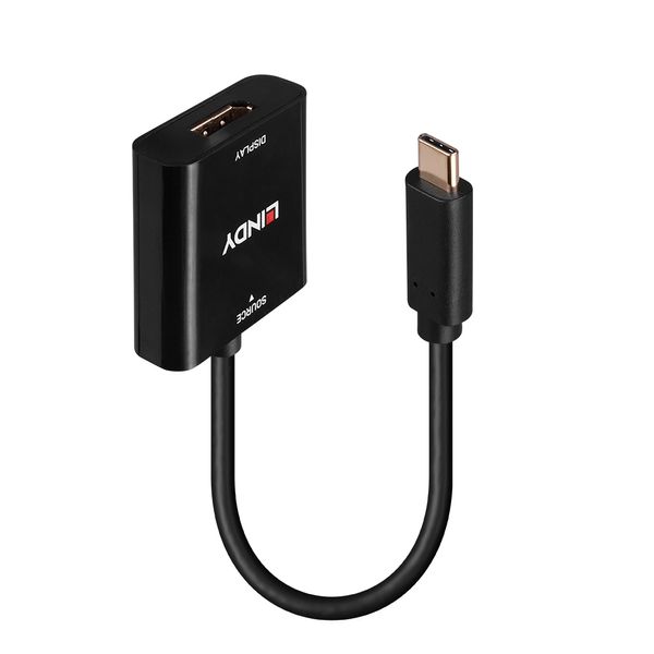 USB Type C to DisplayPort 4k144 Converter Connect a DisplayPort monitor to your computer' s USB Type C port image 1