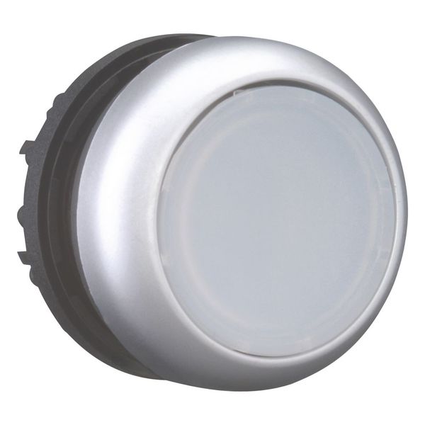 Illuminated pushbutton actuator, RMQ-Titan, Flush, maintained, White, Blank, Bezel: titanium image 13