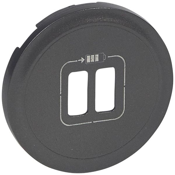COVER PLATE USB CHARGER 2 OUTLETS GRAPHITE image 1