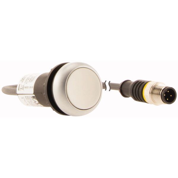 Pushbutton, Flat, momentary, 1 N/O, Cable (black) with M12A plug, 4 pole, 0.2 m, White, Blank, Bezel: titanium image 4