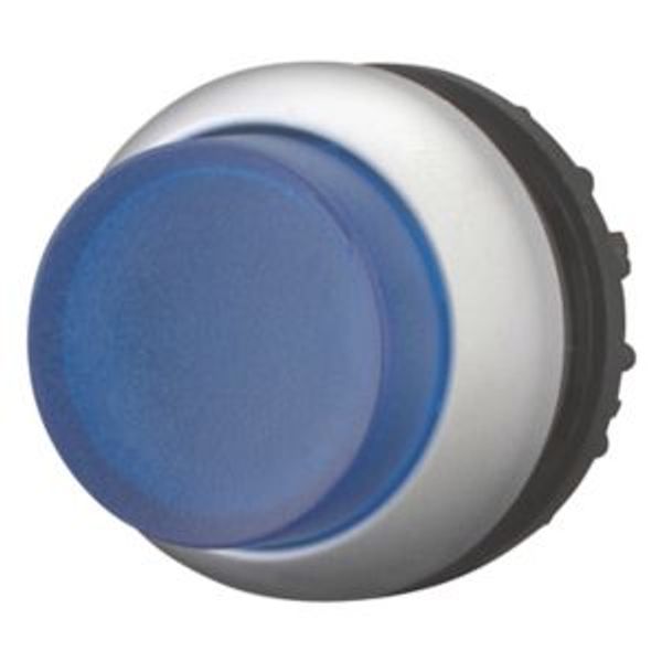 Illuminated pushbutton actuator, RMQ-Titan, Extended, momentary, Blue, Blank, Bezel: titanium image 2