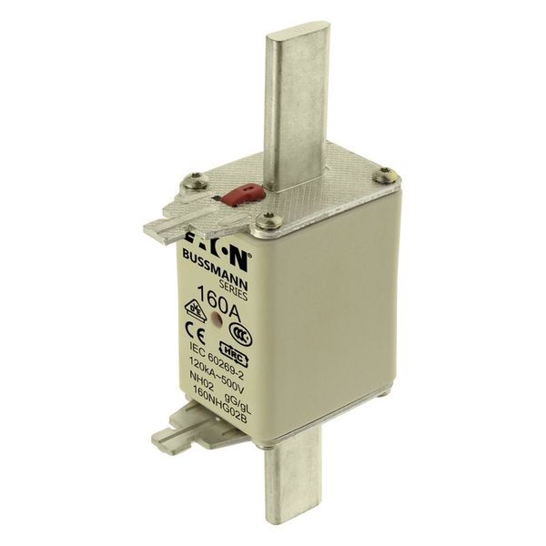 Fuse-link, LV, 160 A, AC 500 V, NH02, gL/gG, IEC, dual indicator, live gripping lugs image 11