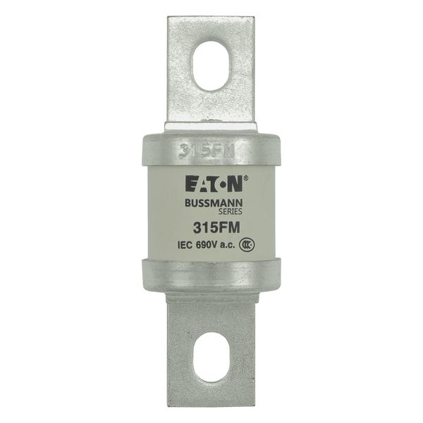 5.5KV 125E BHLE FUSE image 19