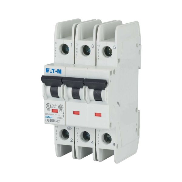 Miniature circuit breaker (MCB), 30 A, 3p, characteristic: D image 15