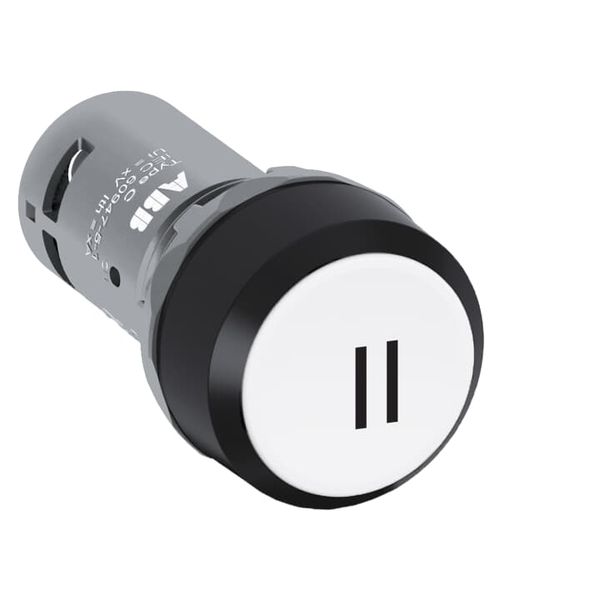CP12-10W-11 Pushbutton image 2