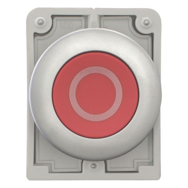 Pushbutton, RMQ-Titan, Flat, maintained, red, inscribed, Metal bezel image 9