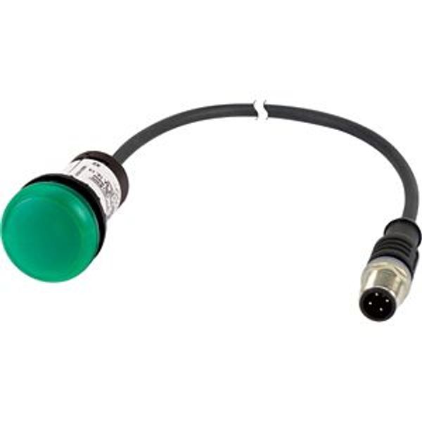 Indicator light, Flat, Cable (black) with M12A plug, 4 pole, 1 m, Lens green, LED green, 24 V AC/DC image 2