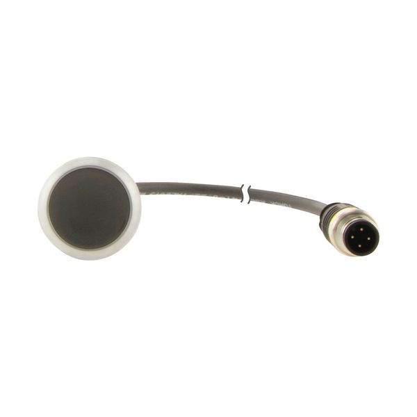 Pushbutton, Flat, momentary, 1 NC, Cable (black) with M12A plug, 4 pole, 1 m, black, Blank, Bezel: titanium image 7