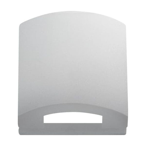 1750-866 CoverPlates (partly incl. Insert) pure stainless steel Stainless steel image 3