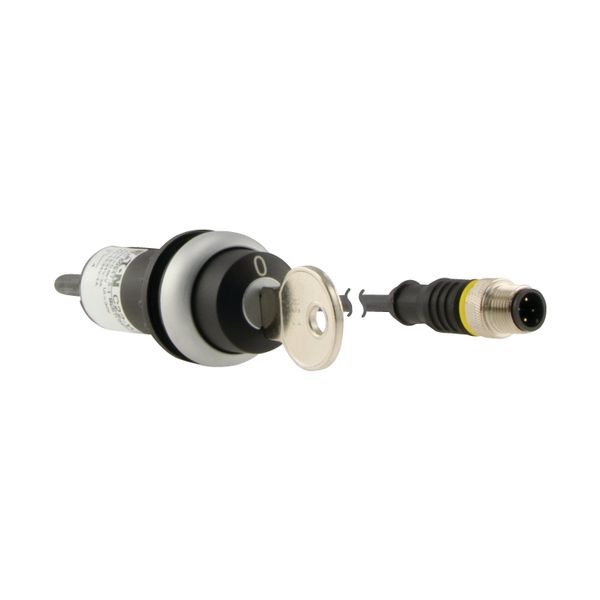 Key-operated actuator, RMQ compact solution, maintained, 1 N/O, Cable (black) with M12A plug, 4 pole, 0.2 m, 2 positions, MS1, Bezel: titanium image 17
