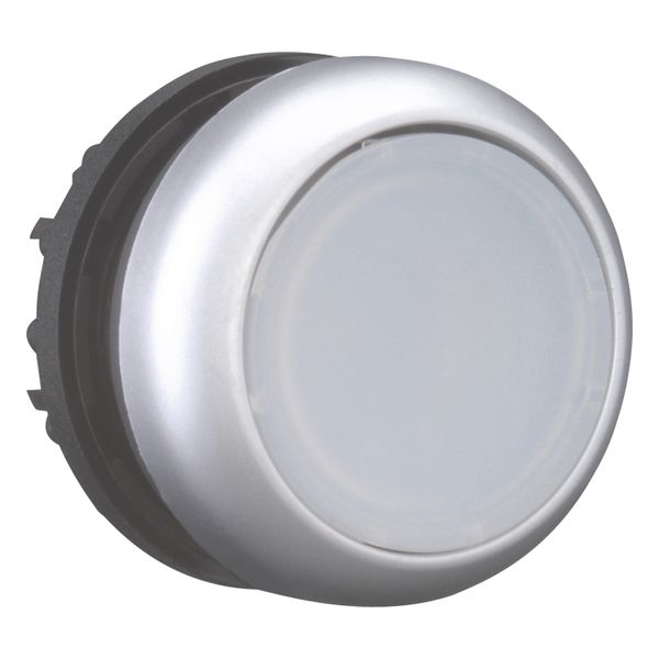 Illuminated pushbutton actuator, RMQ-Titan, Flush, momentary, White, Blank, Bezel: titanium image 12