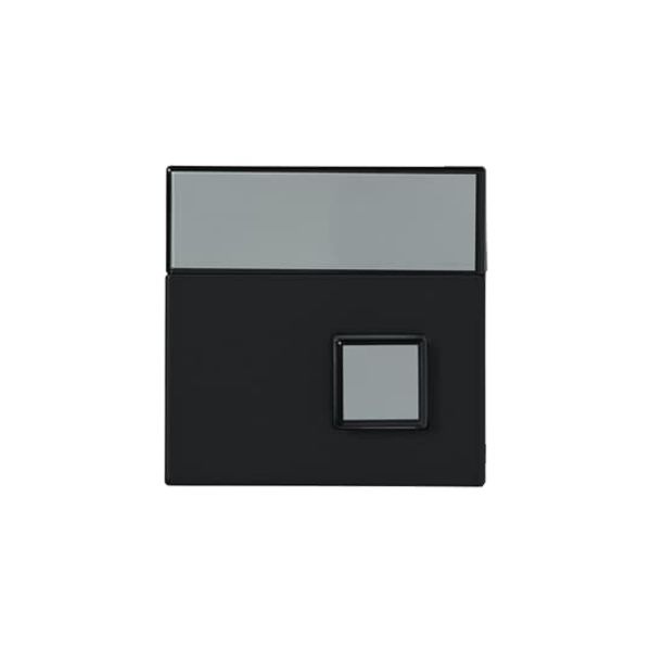 1P-885 Center plate Switch/push button Single push button Black - Impressivo image 1