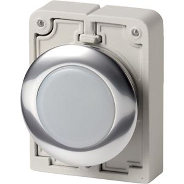 Indicator light, RMQ-Titan, Flat, white, Metal bezel image 8