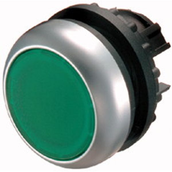 Illuminated pushbutton actuator, RMQ-Titan, Flush, momentary, green, Blank, Bezel: titanium image 1