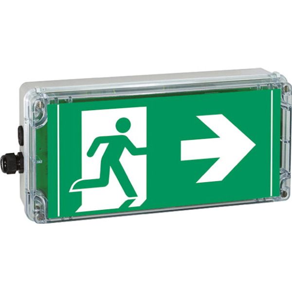 Ex-escape sign luminaires EXIT V-CG-S for emergency light function for zone 1/21, Pictogram: DIN ISO 7010, Arrow: 3 Clock image 2