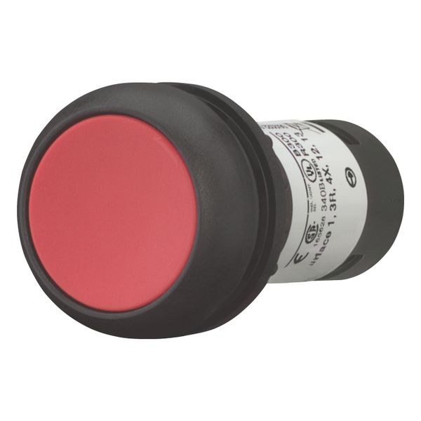 Pushbutton, Flat, momentary, 1 NC, 1 N/O, Screw connection, red, Blank, Bezel: black image 8