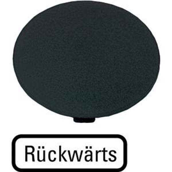 Button plate, mushroom black, REVERSE image 2