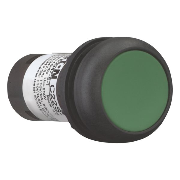 Pushbutton, Flat, momentary, 1 NC, 1 N/O, Screw connection, green, Blank, Bezel: black image 7