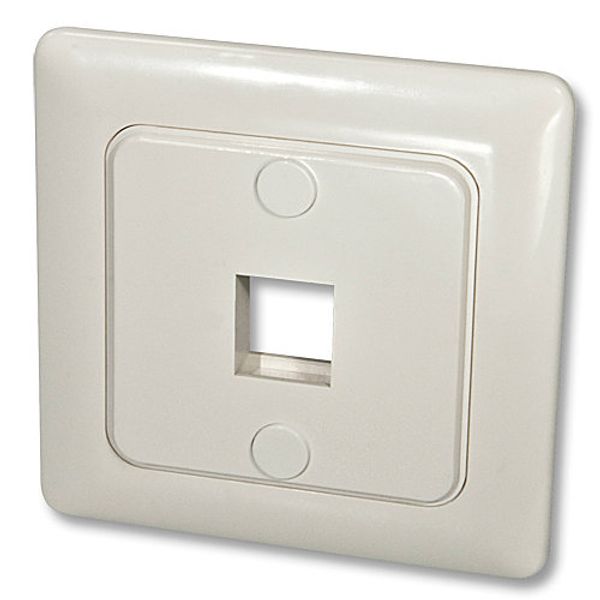 Wall Box DE for a Keystone module Modular wall box with front plate to accommodate 1 keystone from the LINDY LAN and AV extender series! image 1