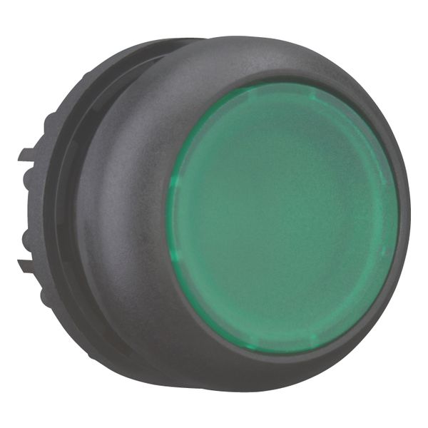 Illuminated pushbutton actuator, RMQ-Titan, Flush, momentary, green, Blank, Bezel: black image 8