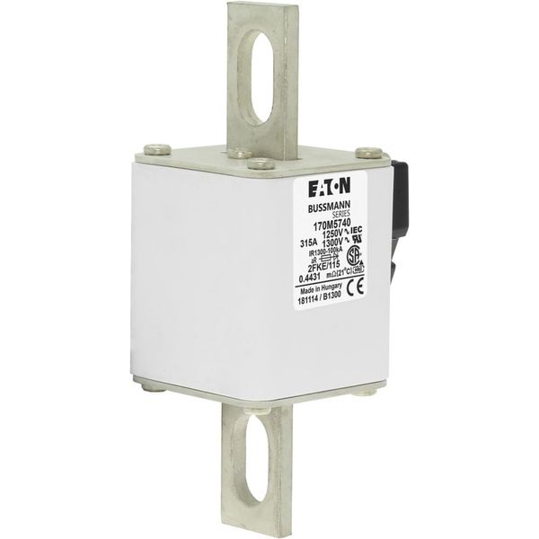 Fuse-link, high speed, 315 A, AC 1250 V, size 2, 61 x 77 x 160 mm, aR, IEC, UL, single indicator image 22