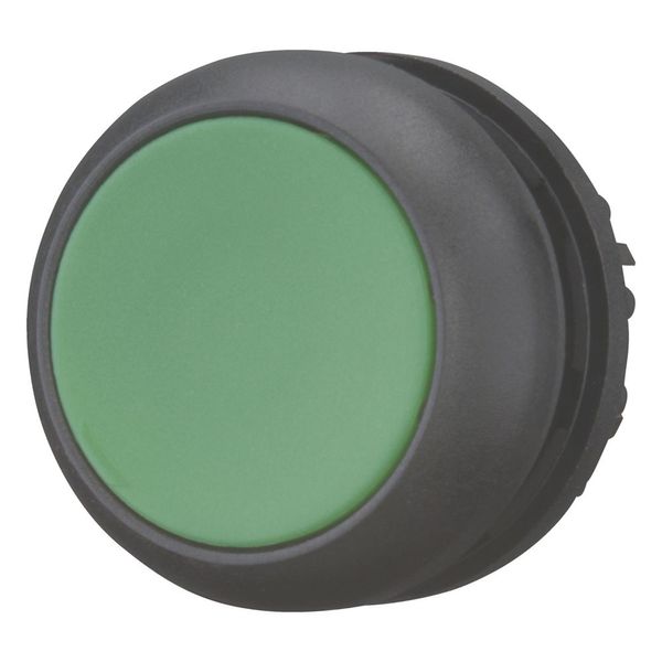 Pushbutton, RMQ-Titan, Flat, momentary, green, Blank, Bezel: black image 5