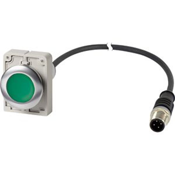 Pushbutton, Flat, maintained, 1 N/O, Cable (black) with M12A plug, 4 pole, 1 m, green, Blank, Metal bezel image 2