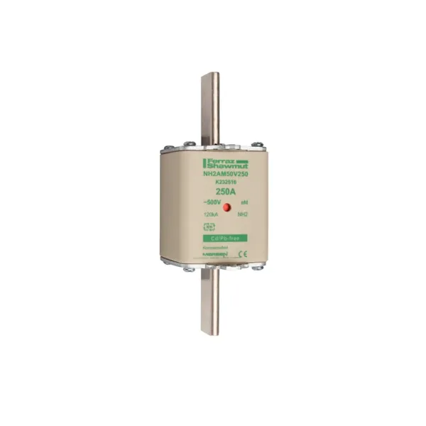 Fuse-link NH2 aM 500VAC 250A live tags Double indicator image 2