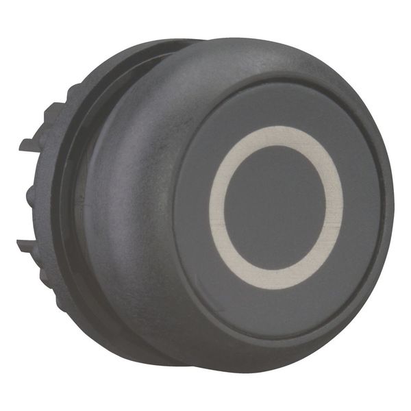 Pushbutton, RMQ-Titan, Flat, maintained, black, inscribed, Bezel: black image 7