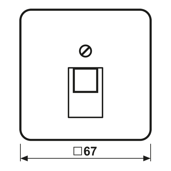 Centre pl.f.1-gang mod. jack sockets CD569-1UAPT image 2