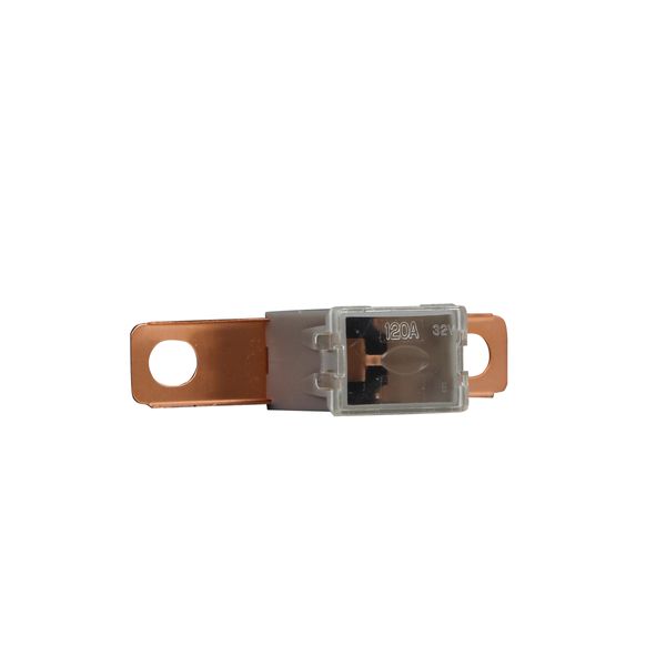 Fuse-link, Overcurrent NON SMD, 100 A image 6