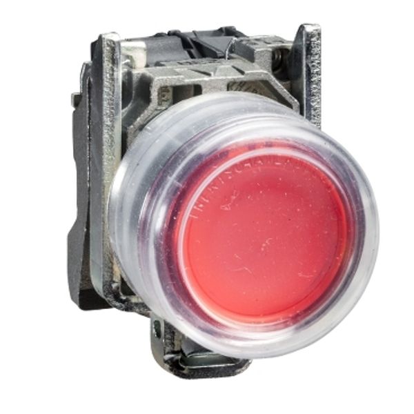 ATEX ILLUMINATED PUSHBUTTON image 1