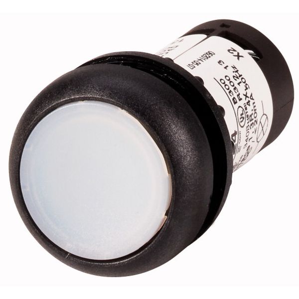 Illuminated pushbutton actuator, Flat, momentary, 1 N/O, Screw connection, LED white, White, Blank, 230 V AC, Bezel: black image 1