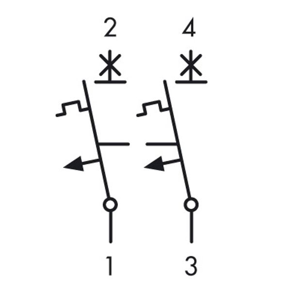 Miniature Circuit Breaker (MCB) C, 25A, 2-pole, 40ø C, 10kA image 3