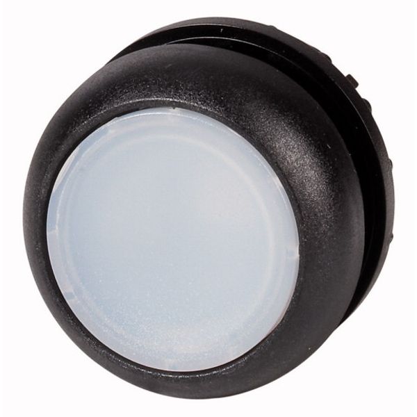 Illuminated pushbutton actuator, RMQ-Titan, Flush, momentary, White, Blank, Bezel: black image 1