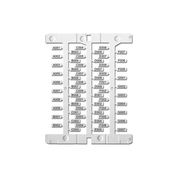 Tessera rigida per tubetto 23x4 mm image 1