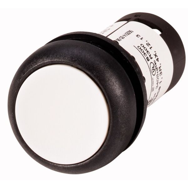 Pushbutton, Flat, momentary, 2 N/O, Screw connection, White, Blank, Bezel: black image 1