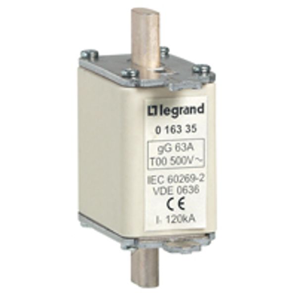 HRC blade type cartridge fuse - type gG - size 00 - 32 A - with indicator image 1
