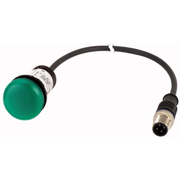 Indicator light, Flat, Cable (black) with M12A plug, 4 pole, 0.2 m, Lens green, LED green, 24 V AC/DC image 1