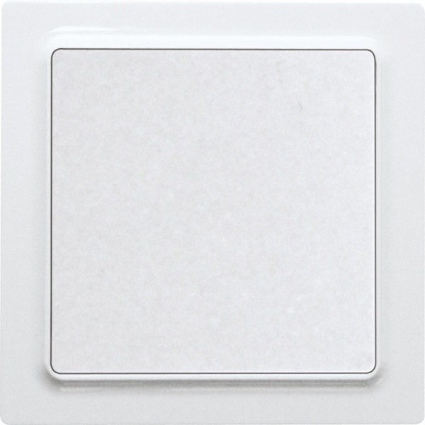 Rocker pushbutton in E-Design55, polar white glossy image 1
