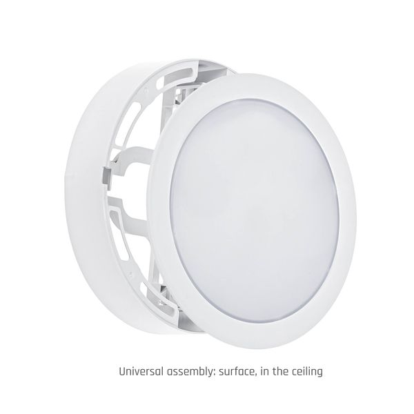 ALGINE 2IN1 SURFACE-RECESSED DOWNLIGHT 12W 1200LM NW 230V IP20 ROUND image 61