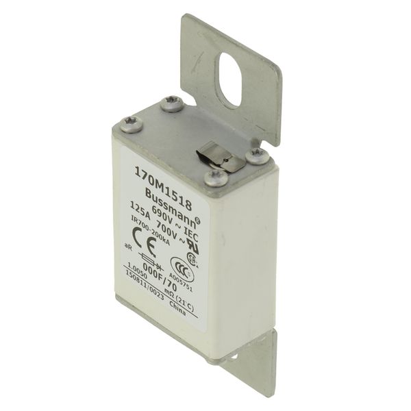 Fuse-link, high speed, 100 A, AC 690 V, size 000, 24 x 36 x 96 mm, aR, IEC, visual indicator image 5